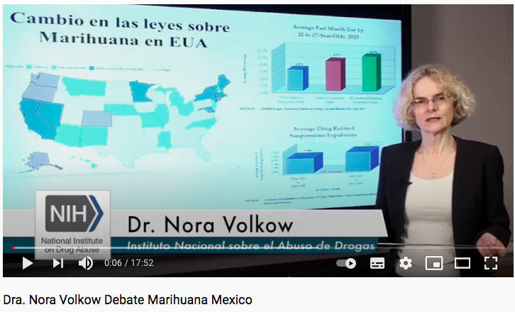 Dra Nora Volkow, efectos de la marihuana en el cerebro.